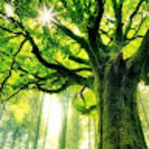 Meet your Posher, Amanda jo